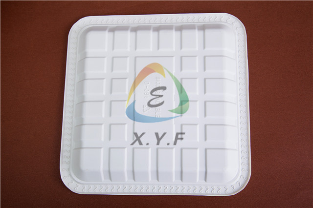 100% biodegradable disposable square tray