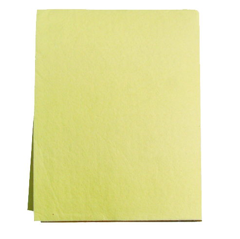 Synthetic chamois flat