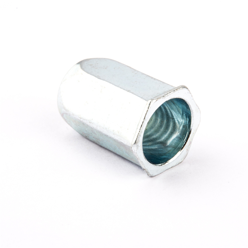 Rivet nut:hex rivet nuts