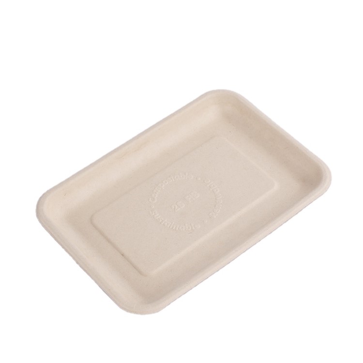Sugarcane Bagasse Tray(200*140*15mm)