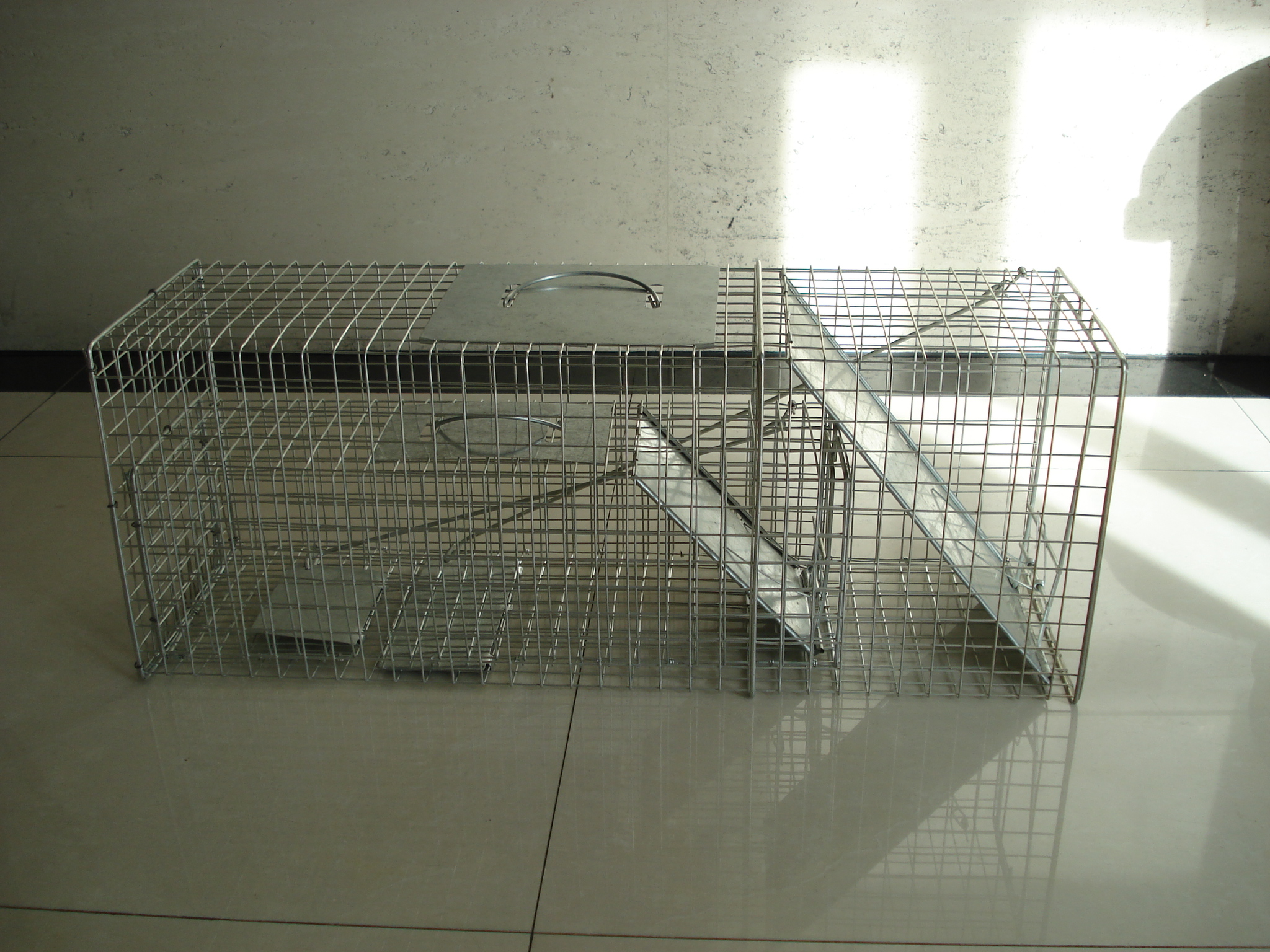 Animal Trap