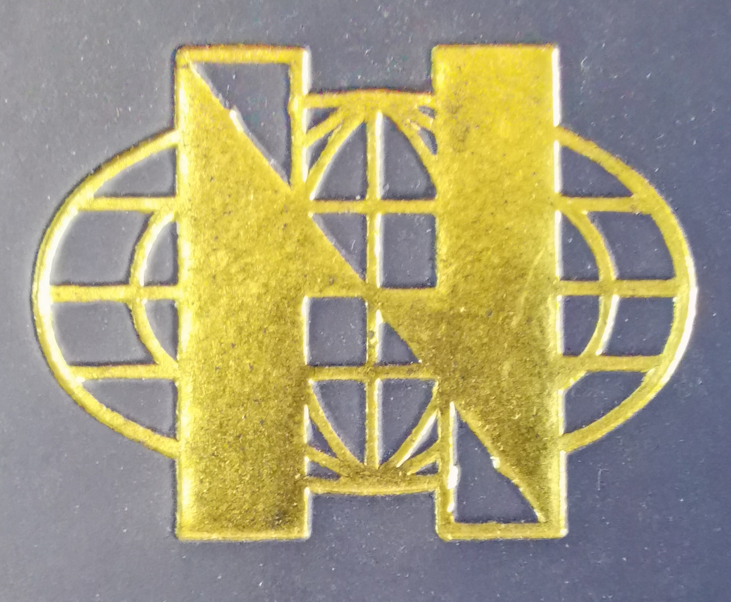 Jiangsu Huaning International Technology Trading Company
