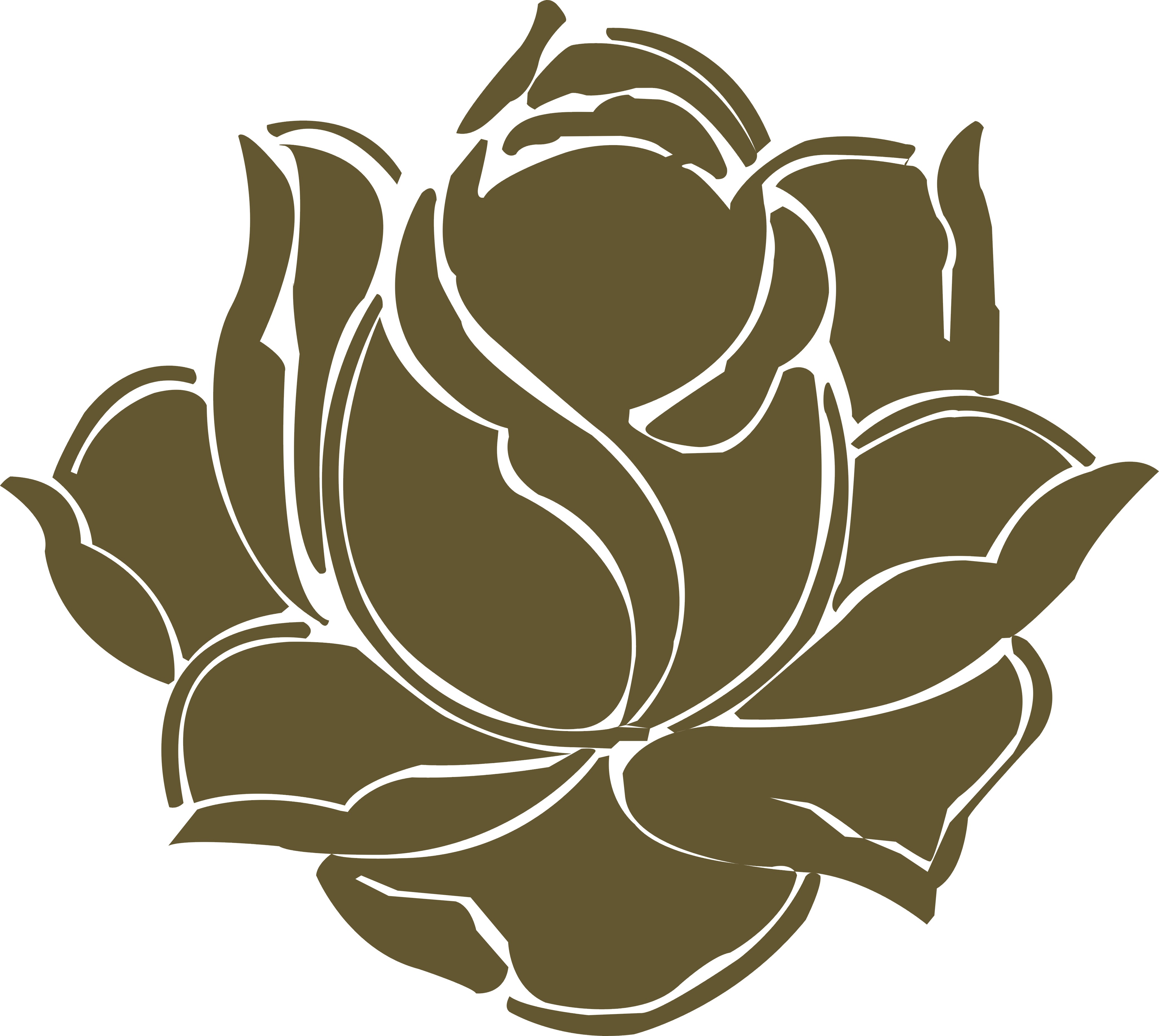 Guangzhou Liluan Trading Co., Ltd.