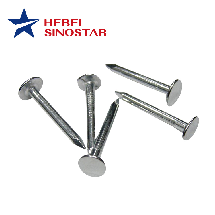 Galvanized Flat Head Nail