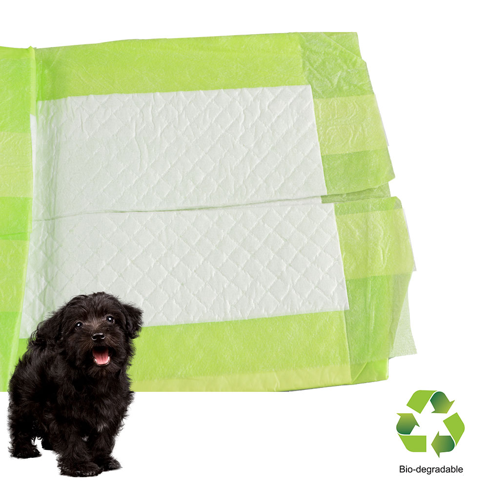 Bio-degradable puppy training pads