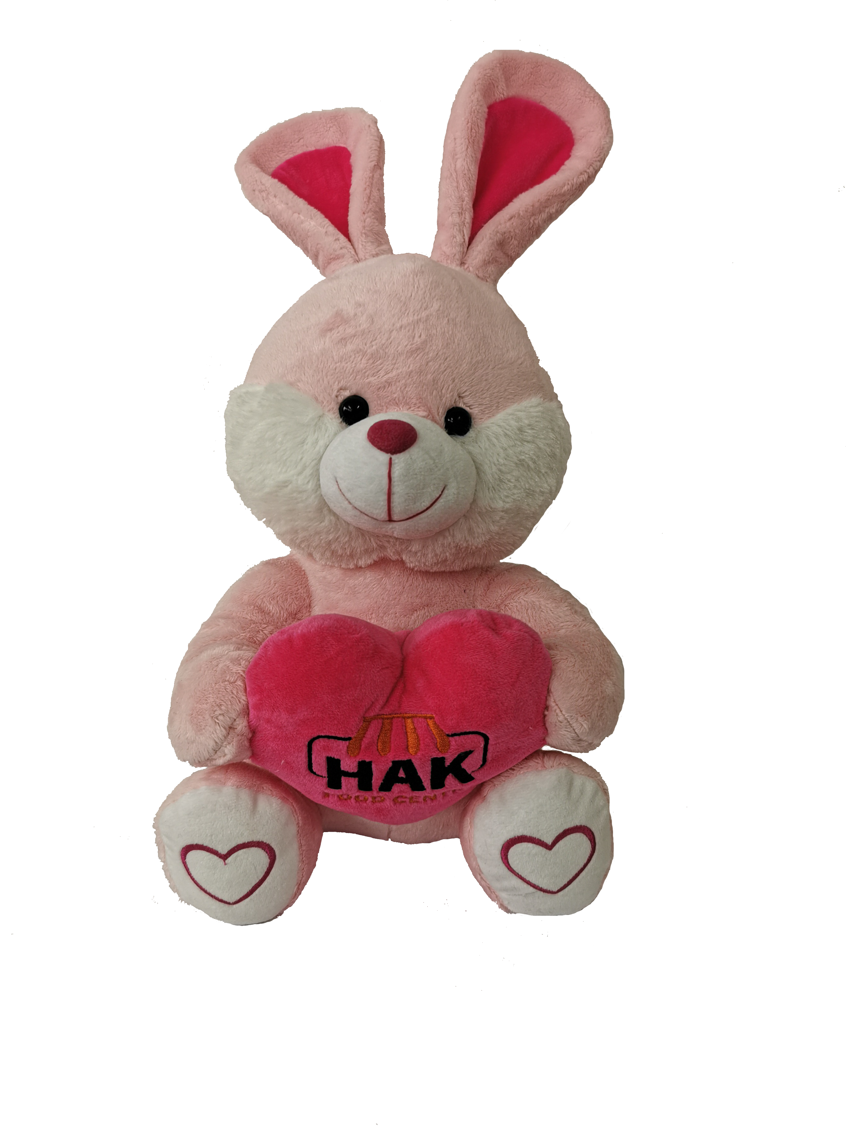 Valentine's day hug loving bunny