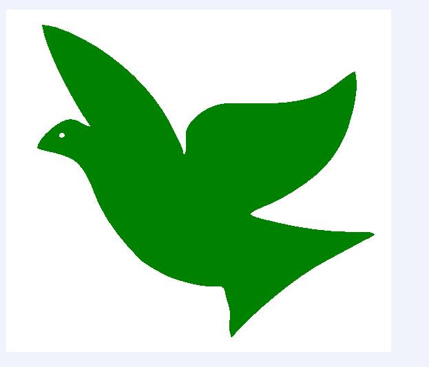 Linyi Zhongtai Import and Export Co., Ltd.