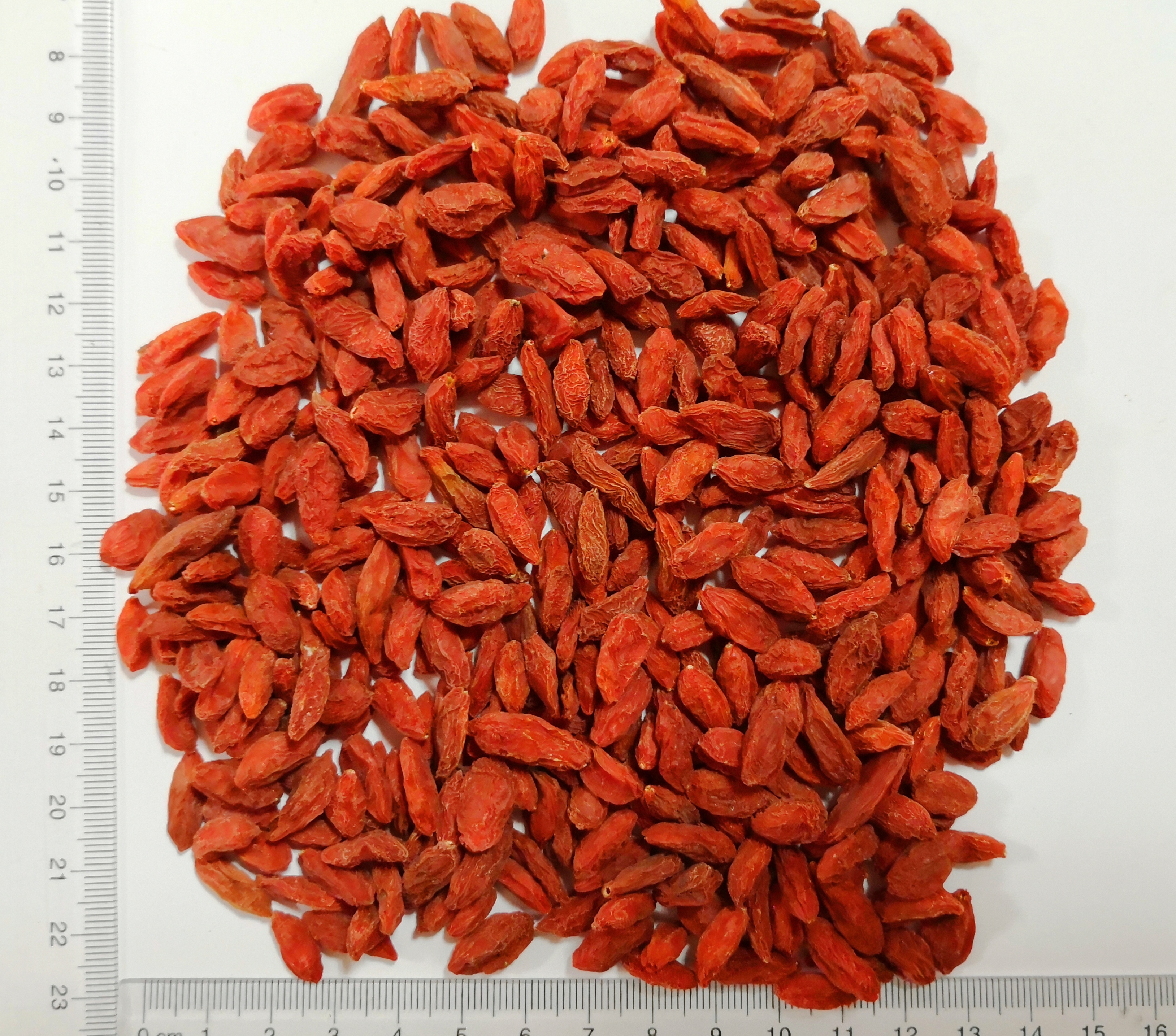 Barbary Wolfberry Fruit