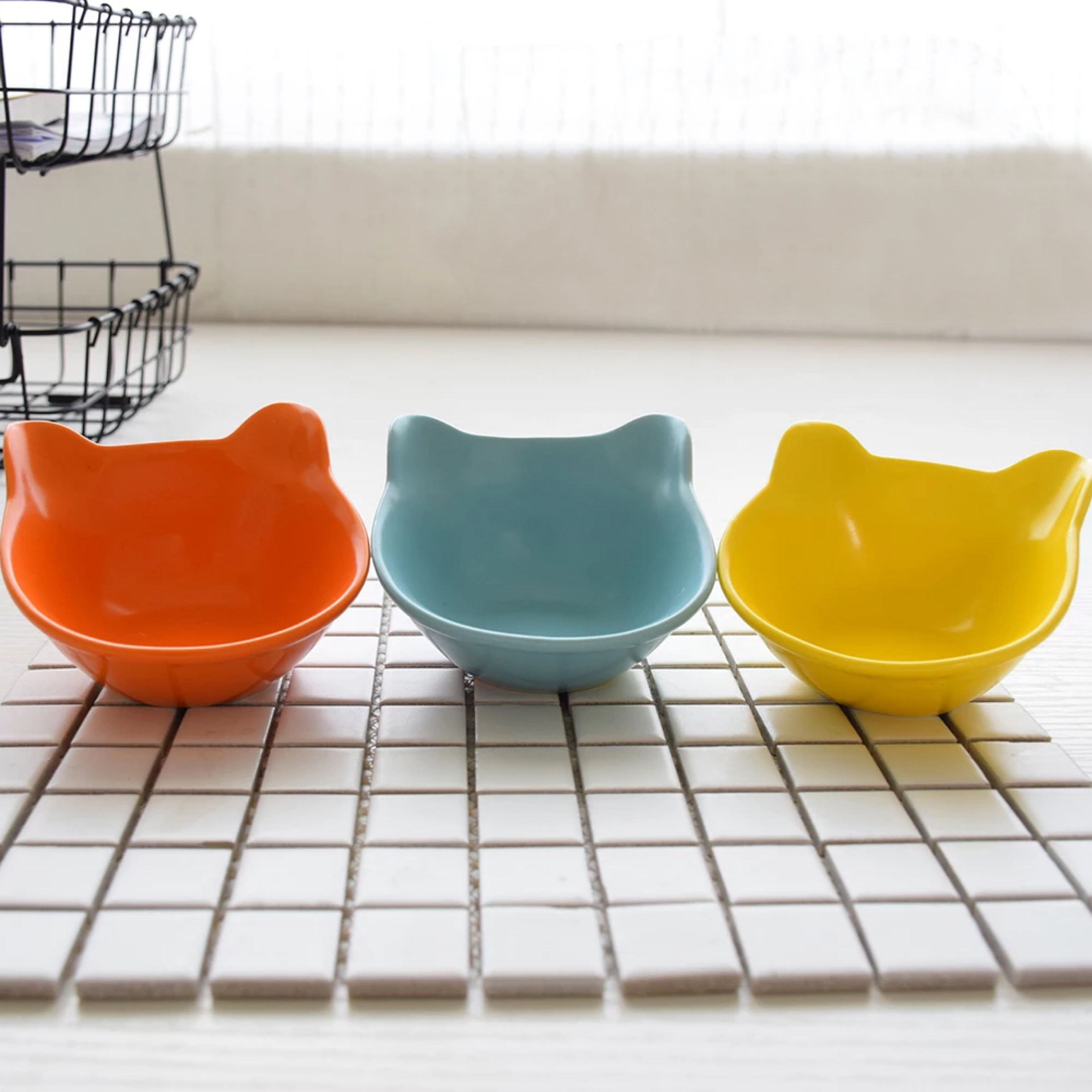 pet bowl