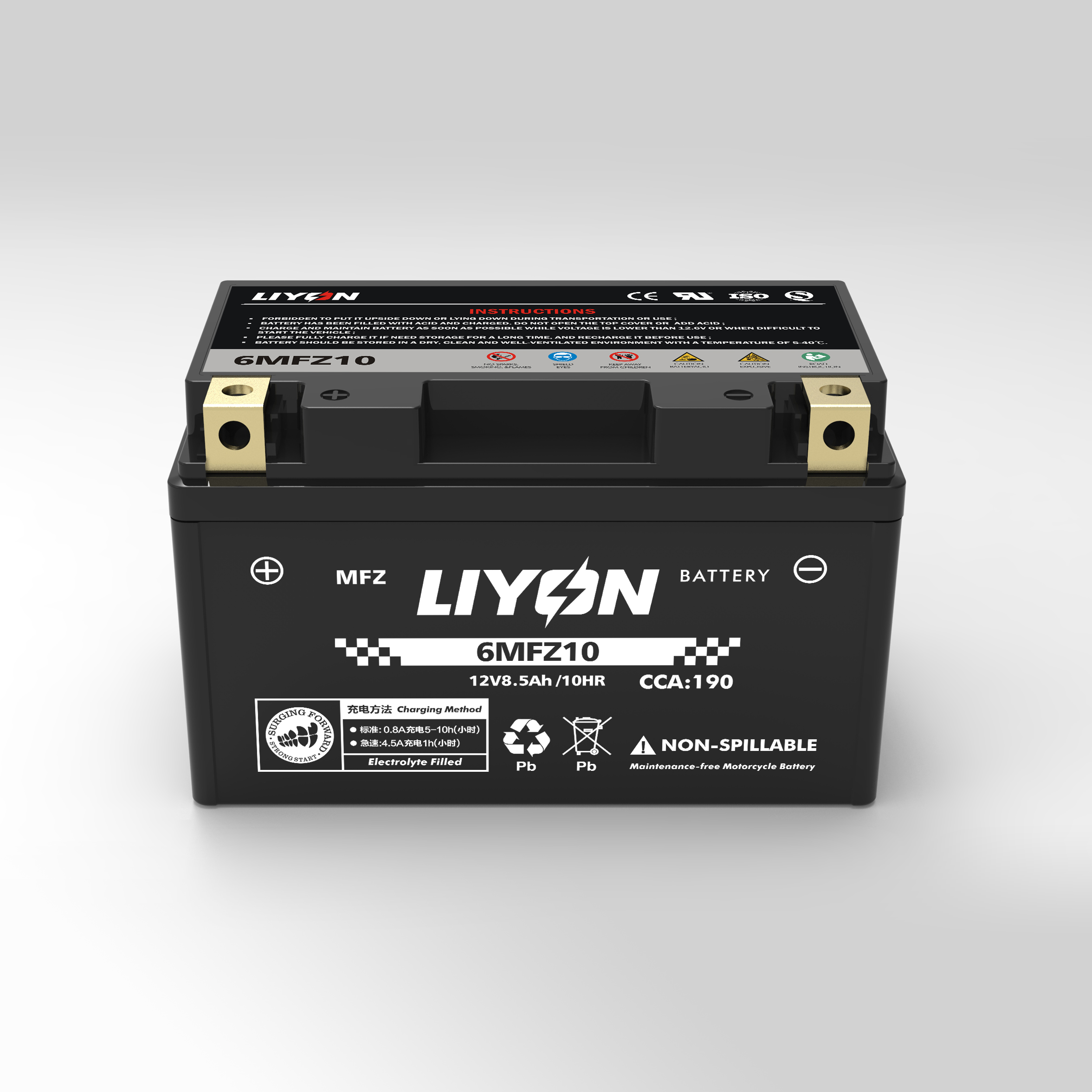 Large displacement high performance new product 6MFZ10