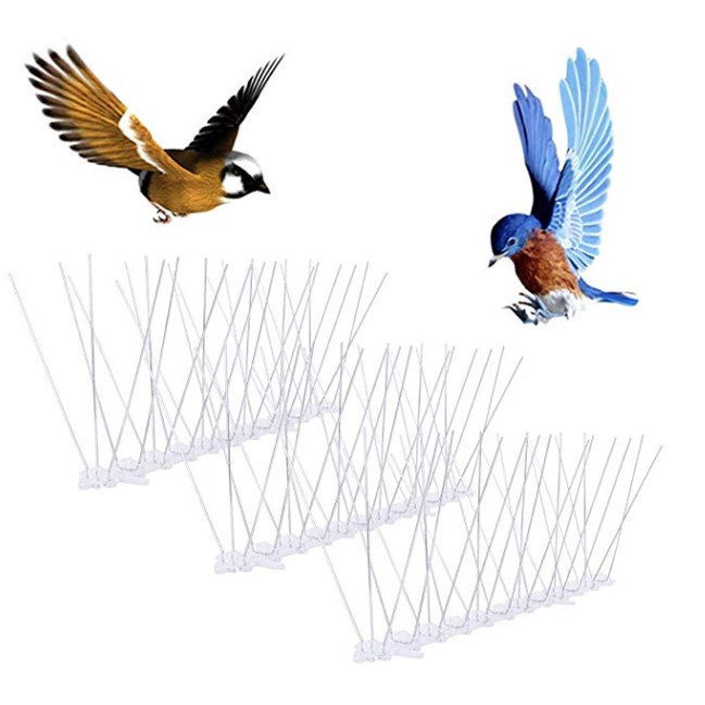 Bird Spikes