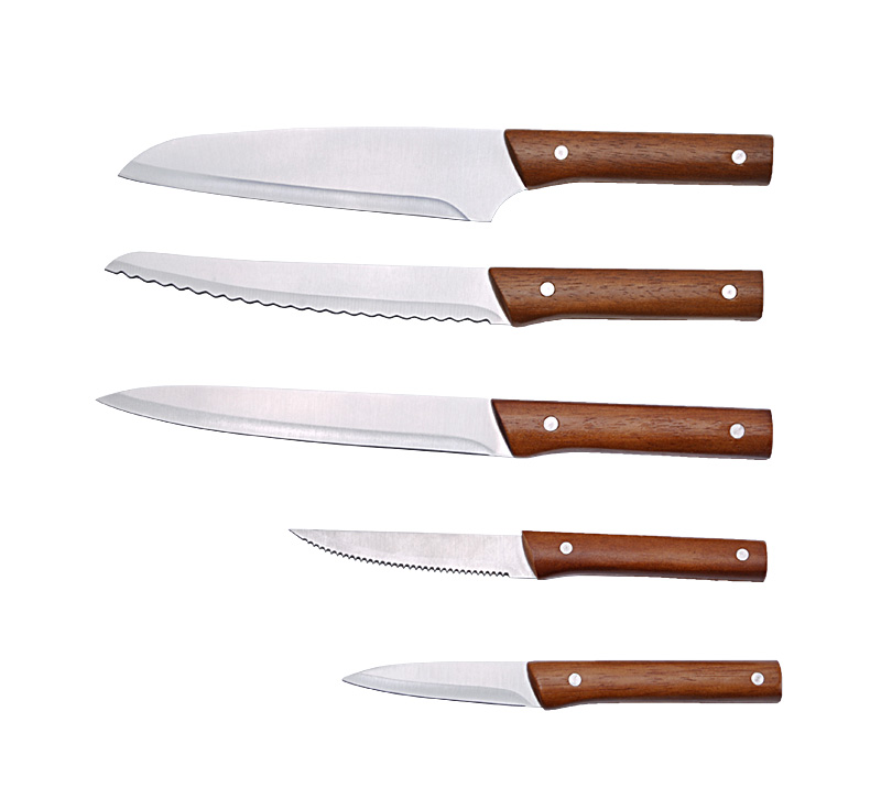 High Carbon German Stainless Steel 5 Inch Steak Knife Set with Wooden Handle