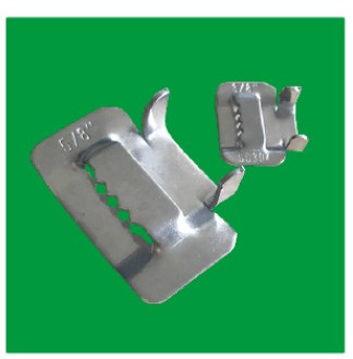 Stainless Teel Buckles