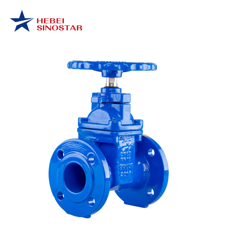 Gate Valve