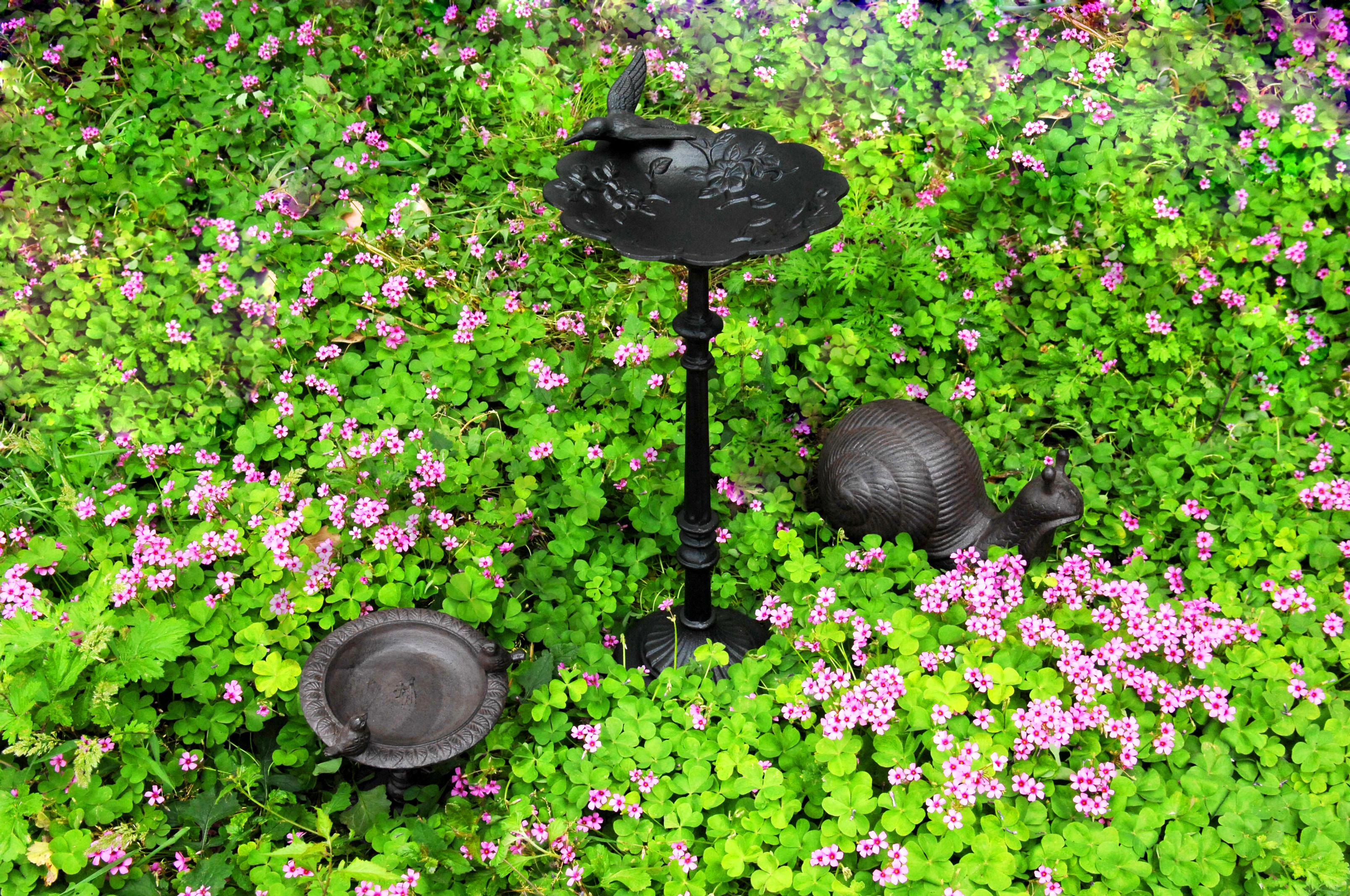Bird bath