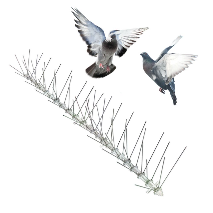 Bird Spikes