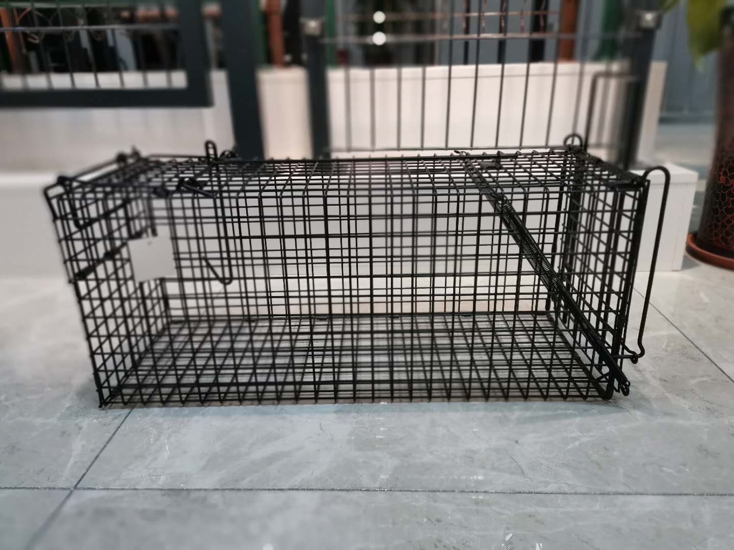 Animal Trap