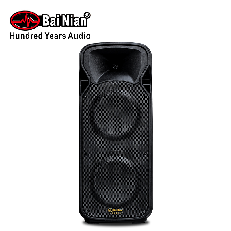 Double 12Inch Portable Trolley Outdoor Active Speaker Wireless Mic