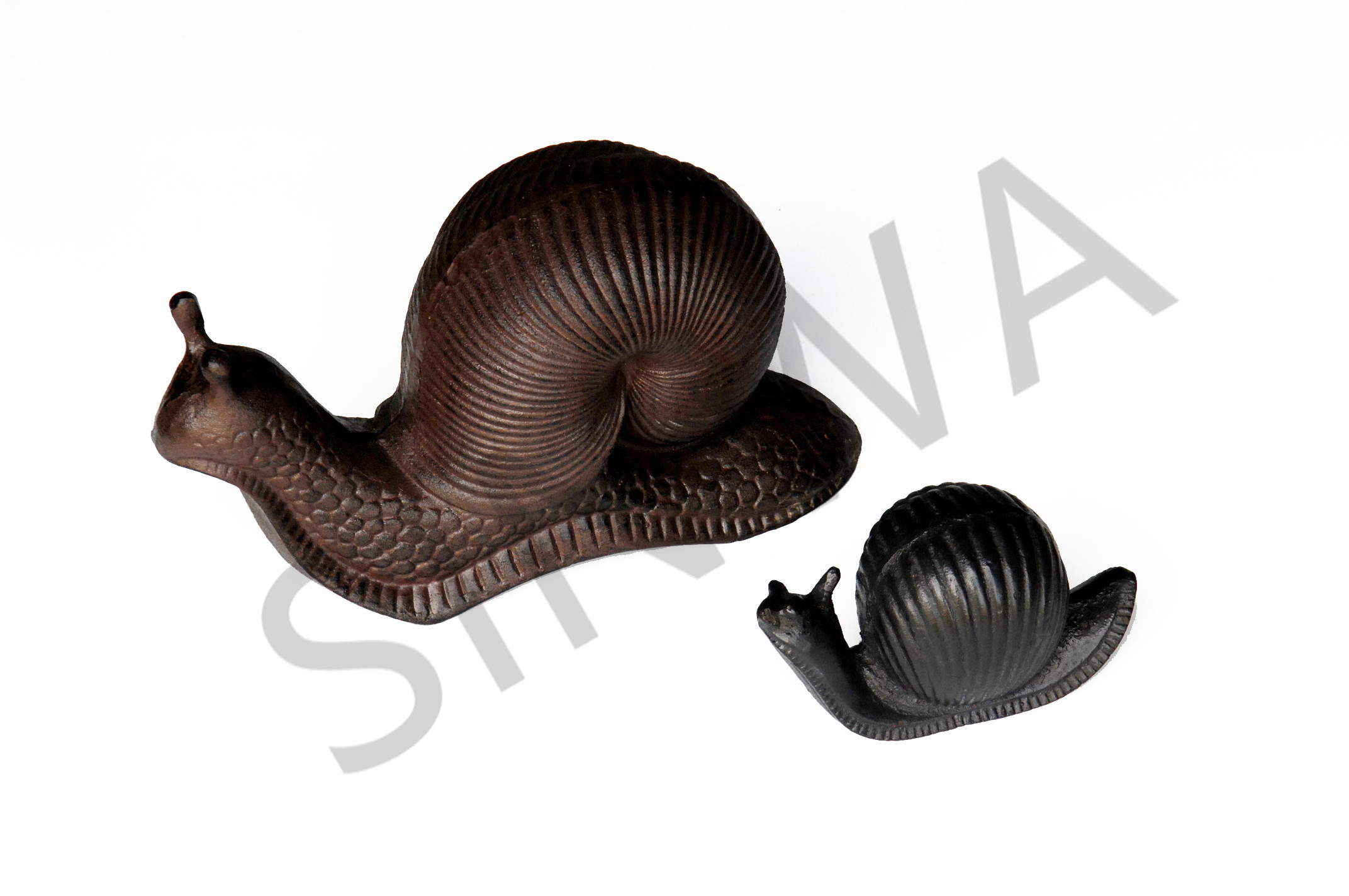 Snail