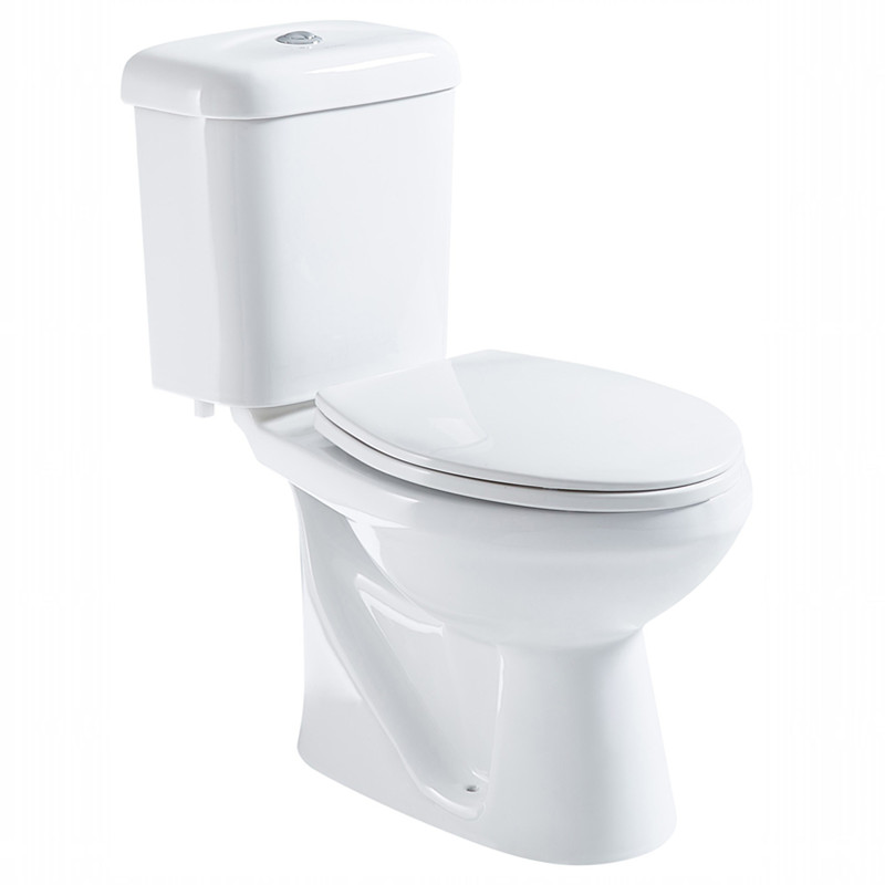 two piece washdown toilet