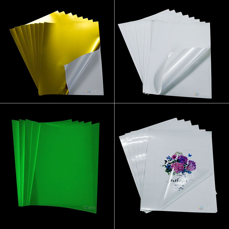 Shenzhen Chunxia Qiudong Landscape Products Co., Ltd.