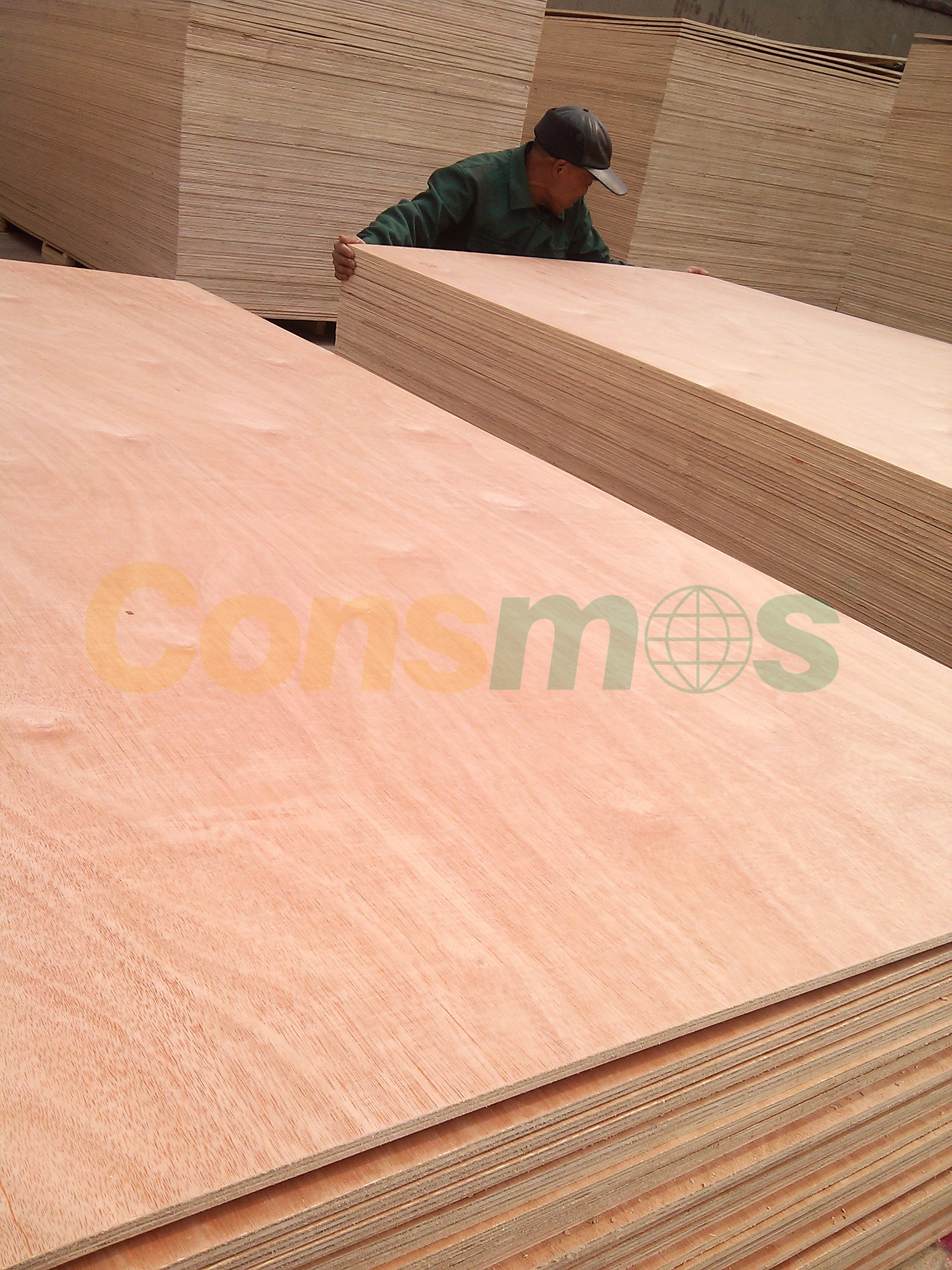 Consmos mr p. okouma/okoume/bintangor/pencil cedar/pine/birch Plywood for furniture