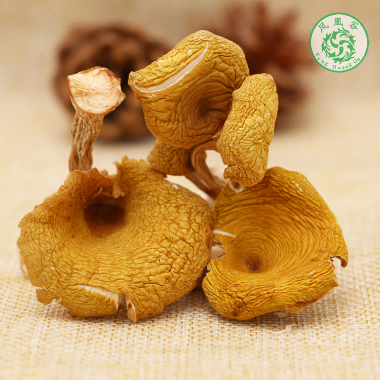 Yunnan Shizong Phoenix Valley Food Co., Ltd – colchoneta de yoga 4