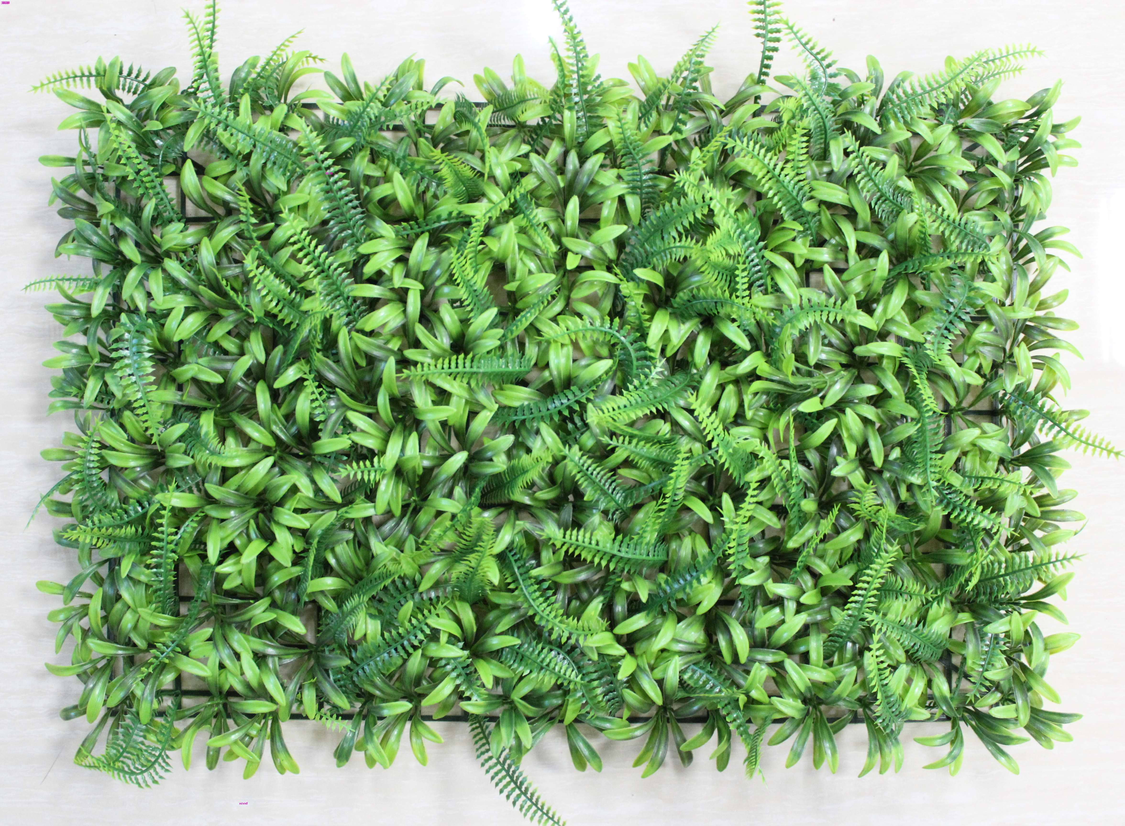 GRASS