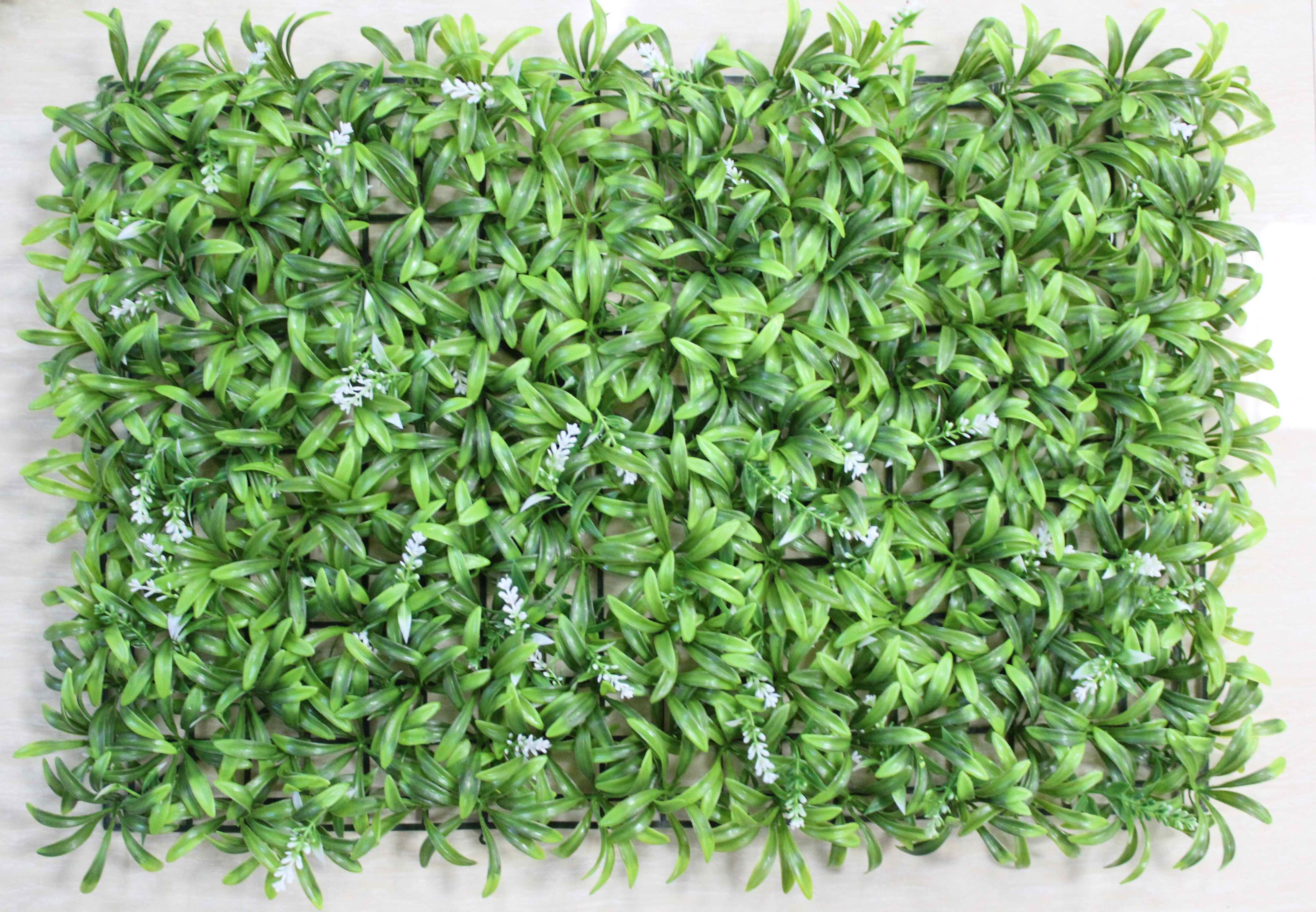 GRASS