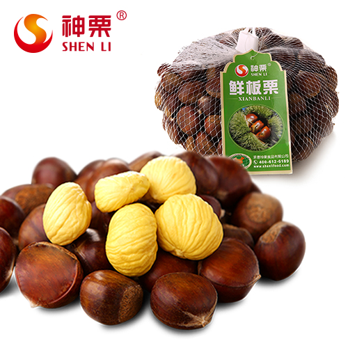 new crop fresh chestnuts