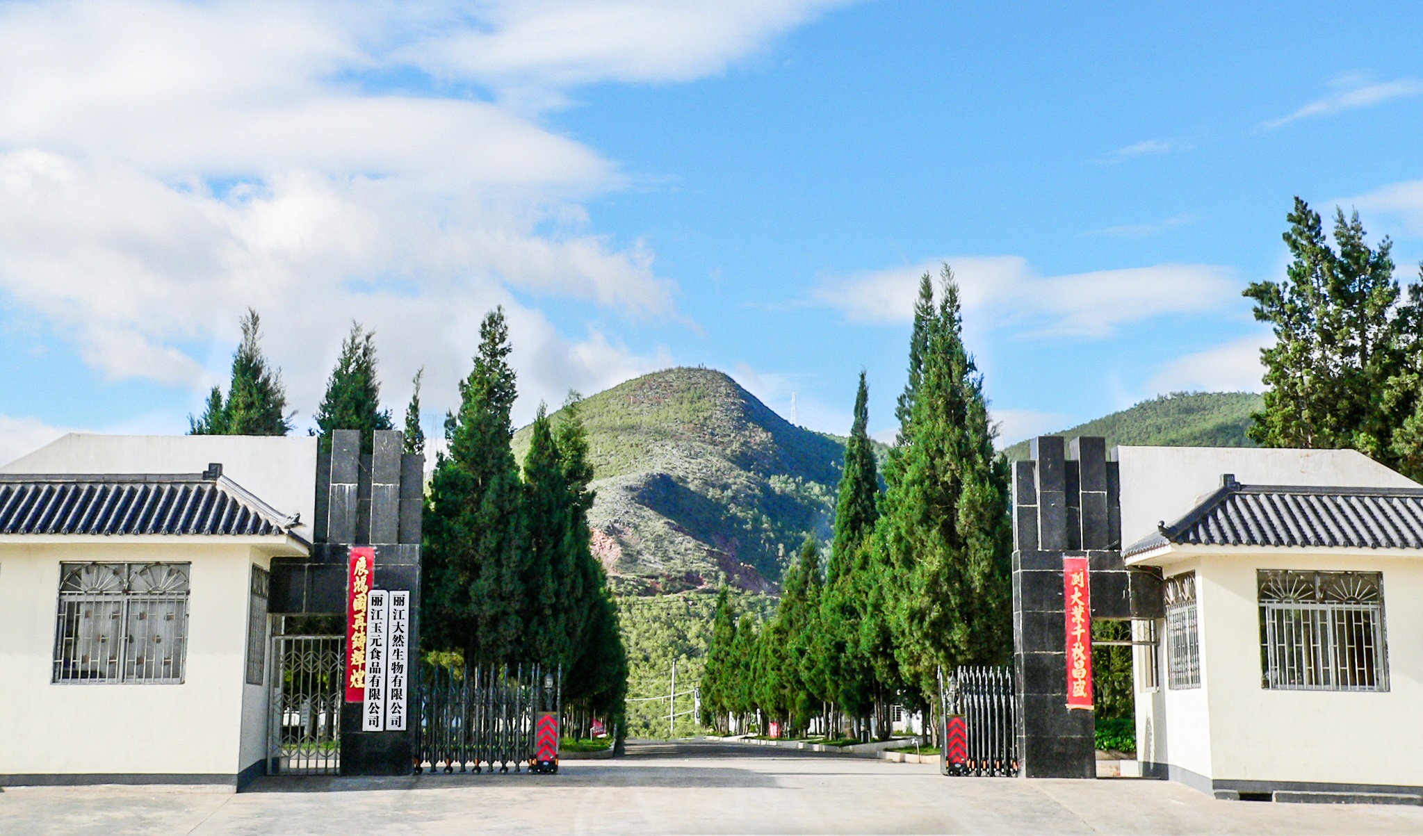 Lijiang Daran Biotechnology Co., Ltd. – Other foods 1