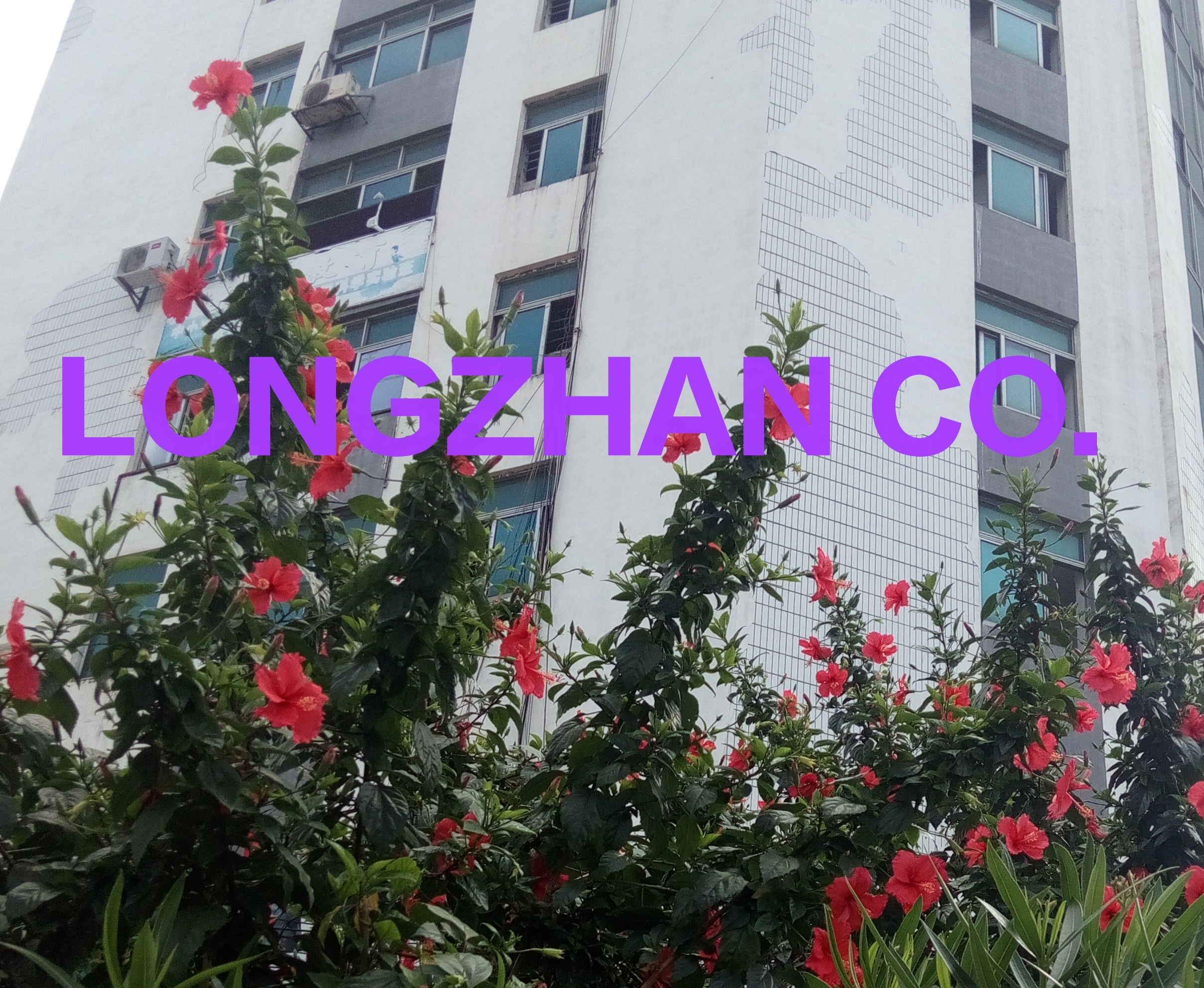 Guangxi Nanning Longzhan Foreign Trade Grain Oil Food Company – 水泵 1