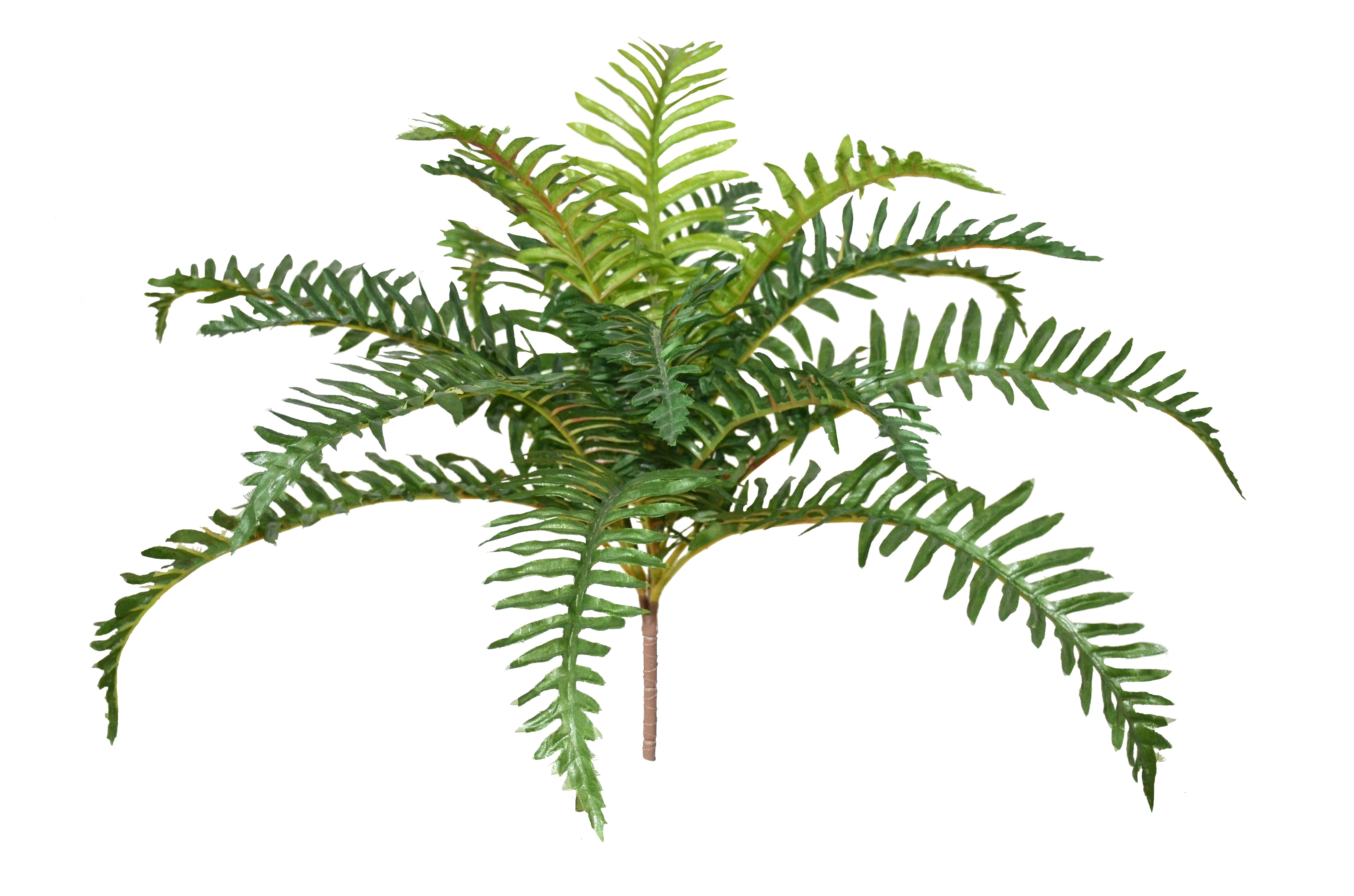 Boston Fern Bush Leaves Artificial Leaves Bush