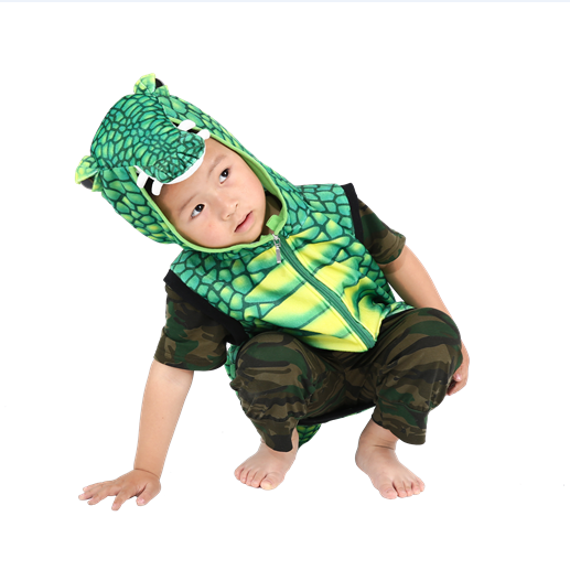 carnival costume, hallowmas vest, waistcoast