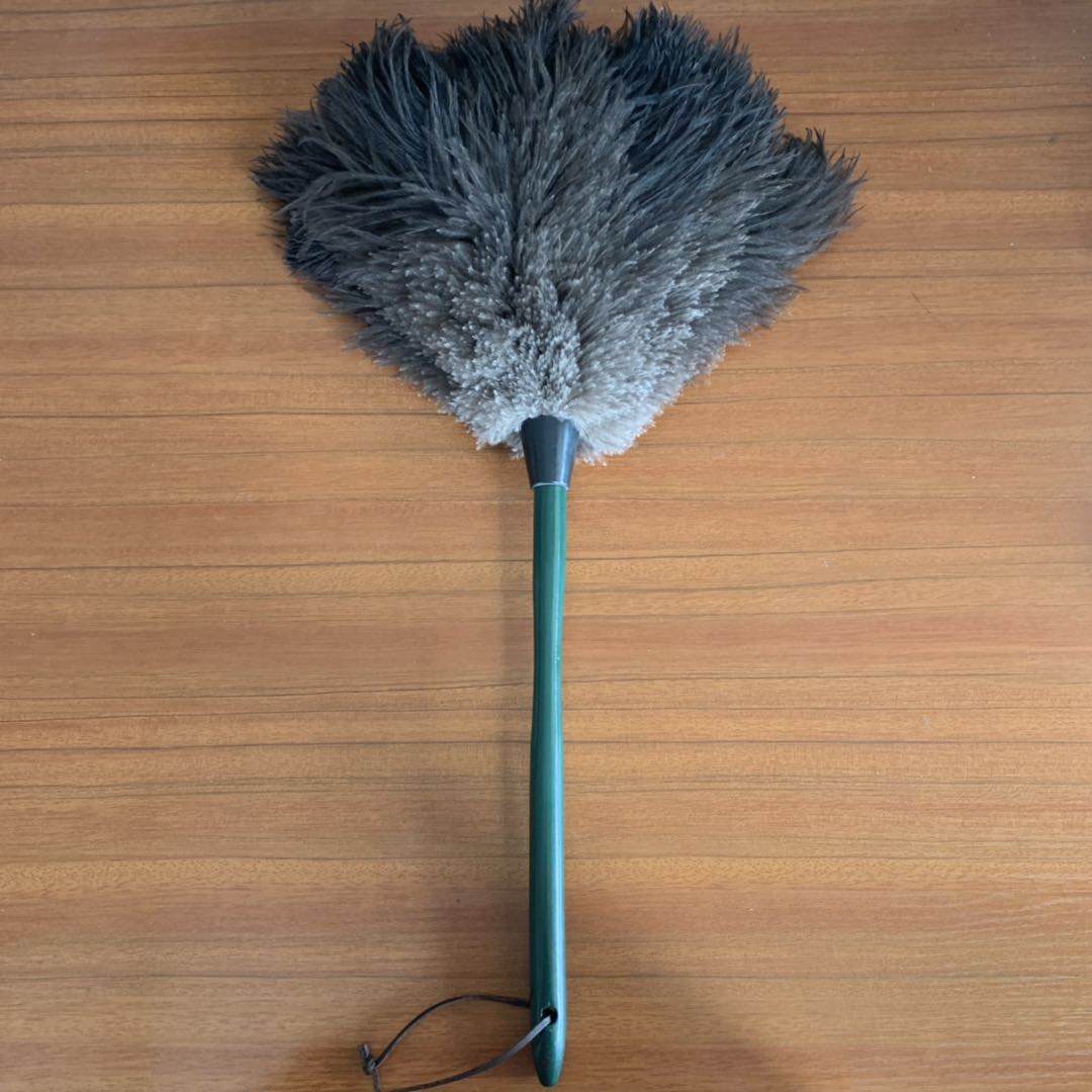 Ostrich Feather Duster with wooden handle