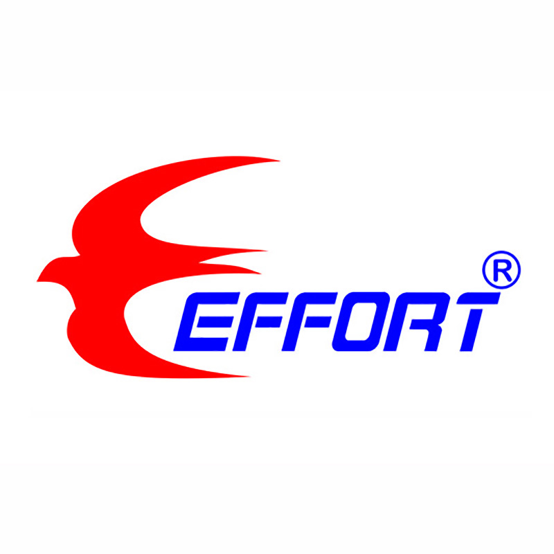 SHENZHEN EFFORT TRADING DEVELOP CO.,LTD.