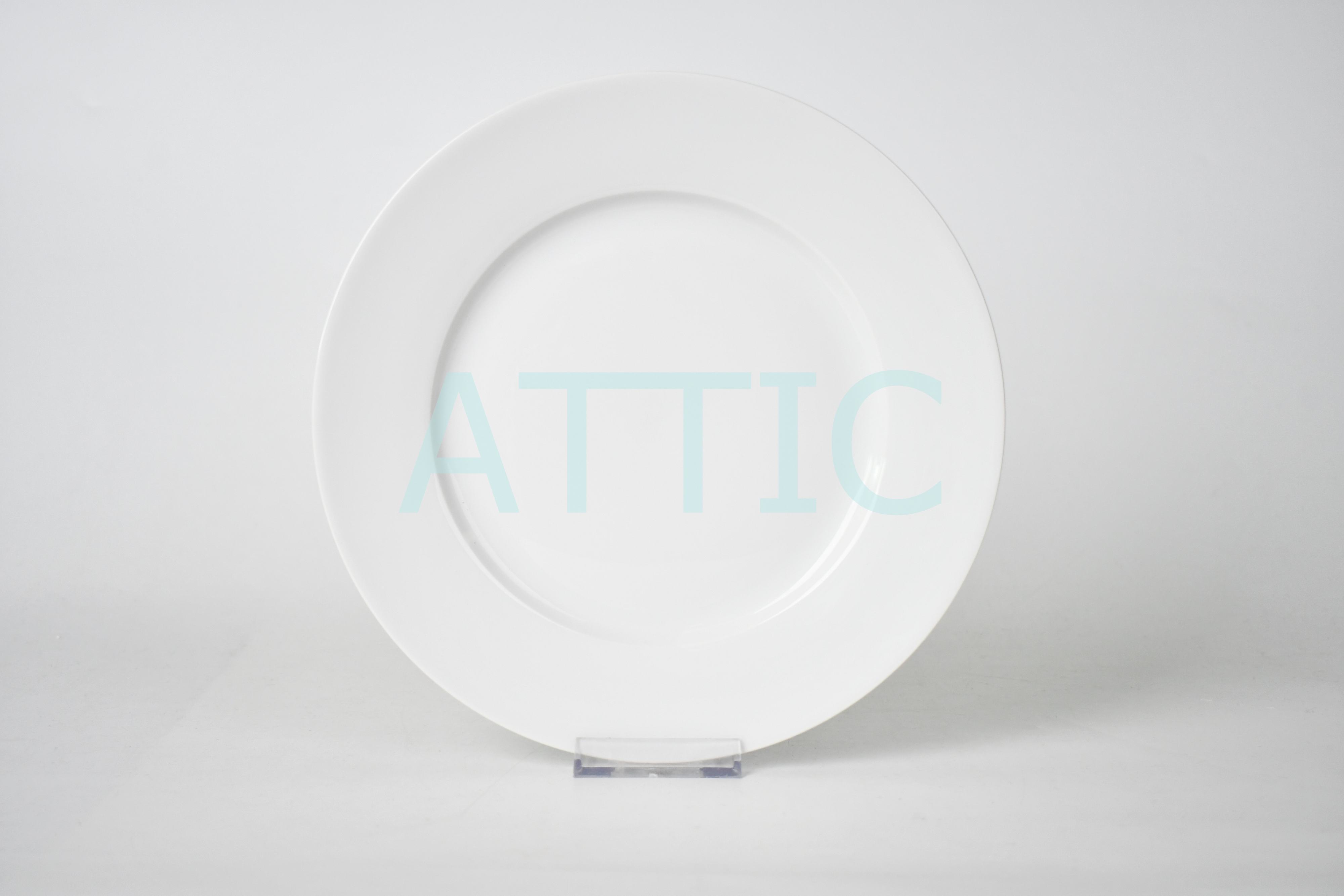 9.5“/24.3CM dinner plate