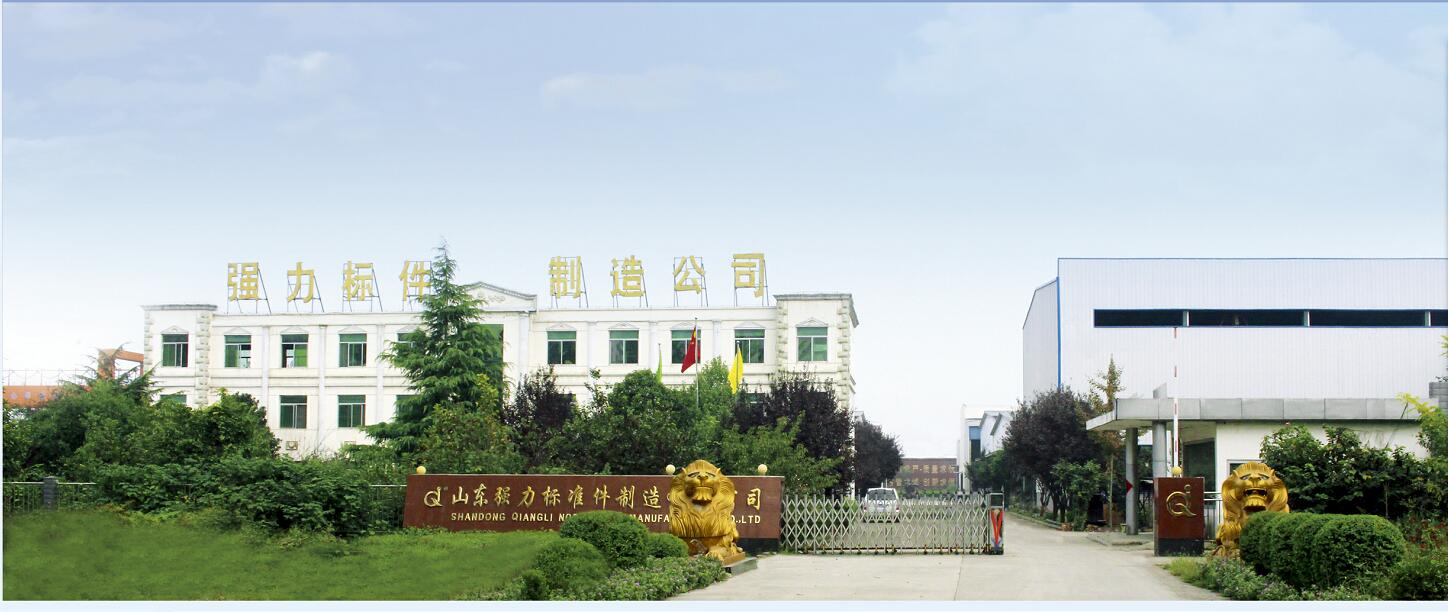Shandong Qiangli Standard Parts Manufacturing Co., Ltd. – Bolts 1