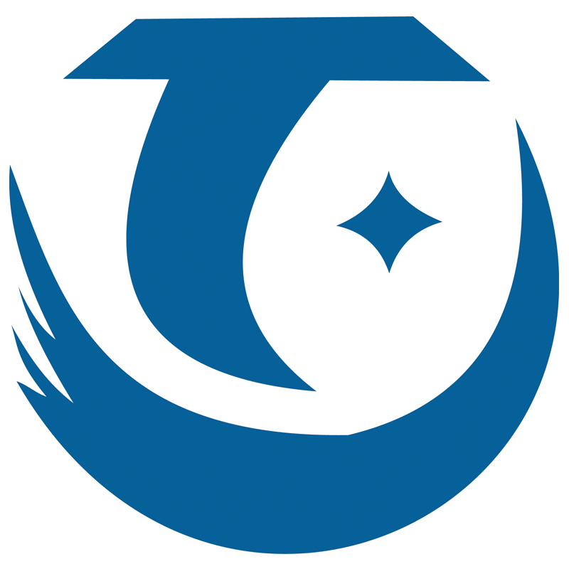 HEFEI TJ IMP.&EXP.CO.,LTD