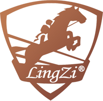 HANGZHOU LINGZI LUGGAGE AND BAGS CO.,LTD
