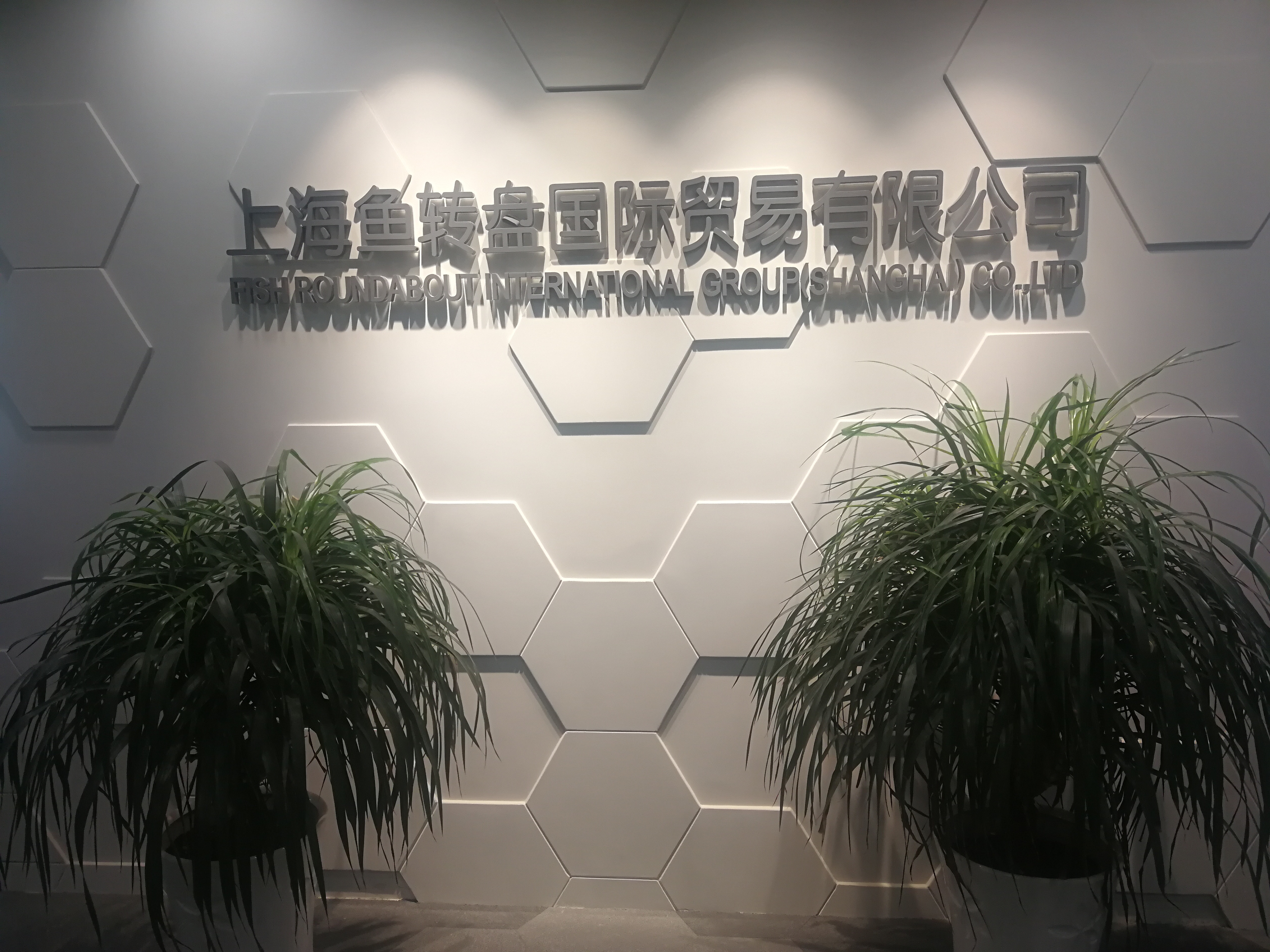 FISH ROUNDABOUT INTERNATIONAL GROUP (SHANGHAI) CO., LTD.