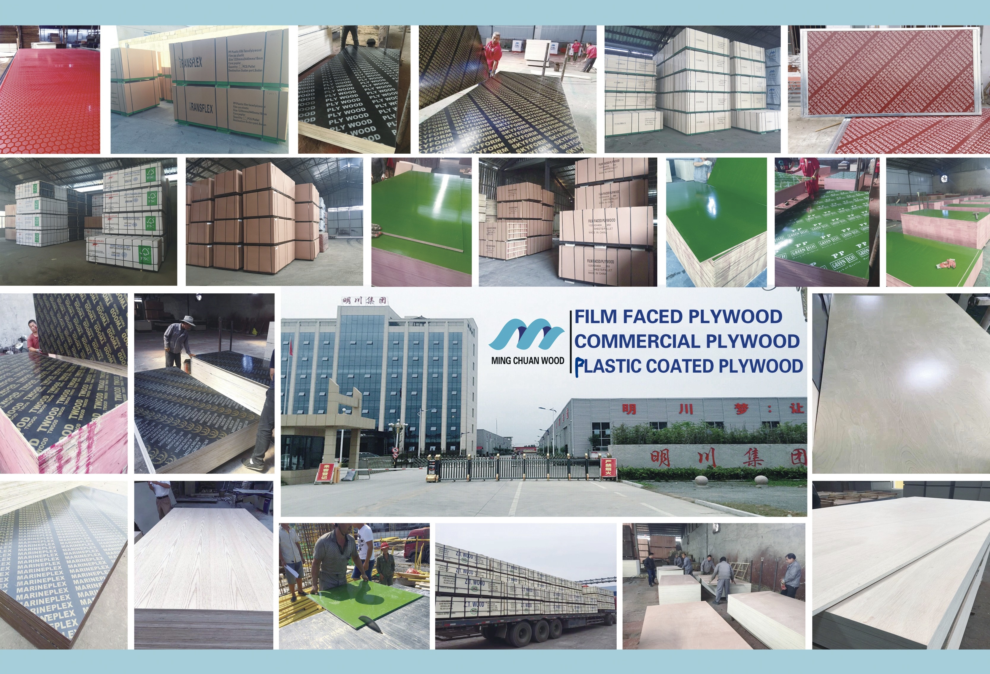 Shandong Zhongxin International Trade Co., Ltd. – construction formwork 1