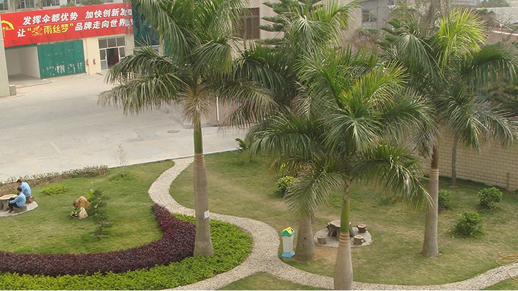 Fujian Yusi Mengyang Umbrella Industry Co., Ltd. – Photos produits 3