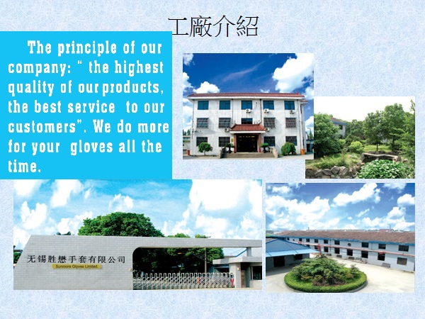 Wuxi Shengmao Gloves Co., Ltd. – protective gloves 1