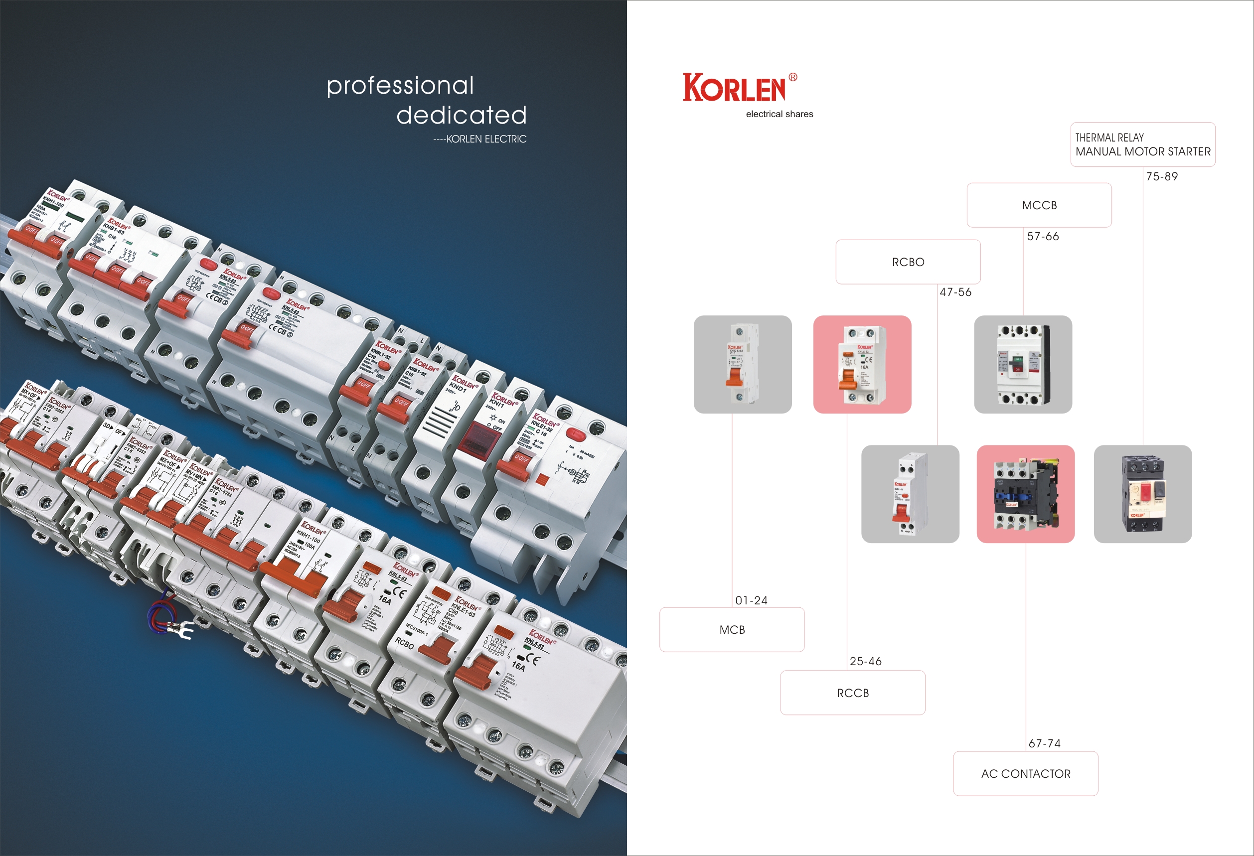 Wenzhou Gaoneng Electric Co., Ltd. – isolation switch 3