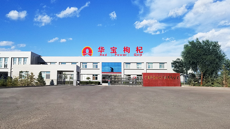 Ningxia Huabao Goji Berry Industry Co., Ltd. – wolfberry 1