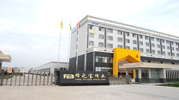 Hubei Bee Treasure Bee Industry Co., Ltd. – Honey 1