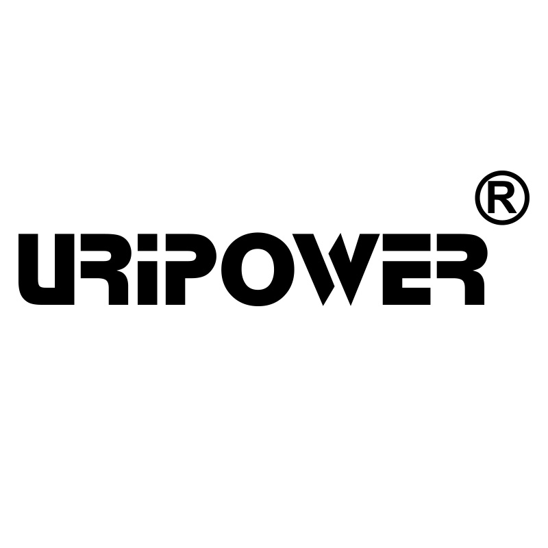 XIAMEN URIPOWER COMPANY LIMITED