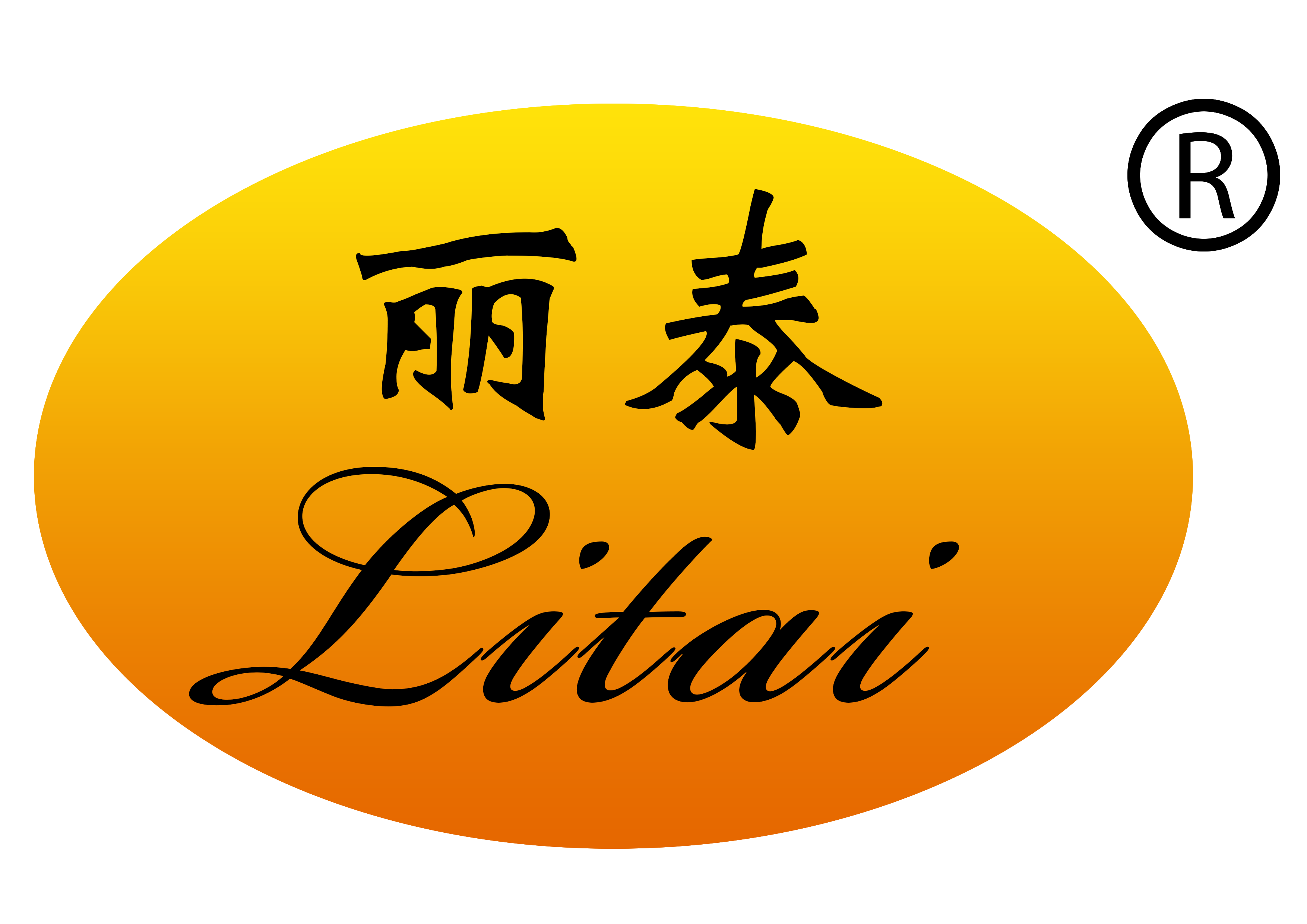 TIANJIN LITAI SHOES SCIENCE AND TECHNOLOGY CO.,LTD.