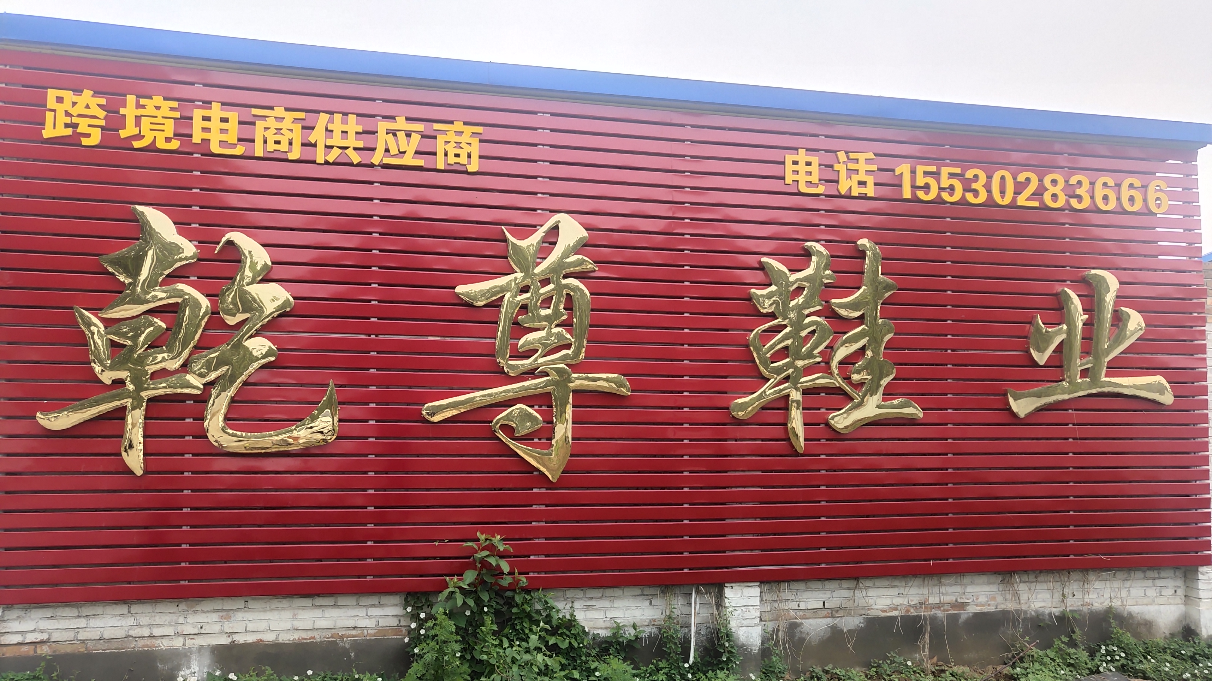Wangdu Qianzun Trading Co., Ltd. – Other sports shoes 1